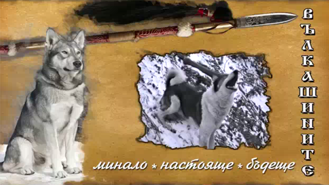 ВЪЛКАШИНИТЕ 2